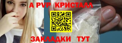 крисы Кинель