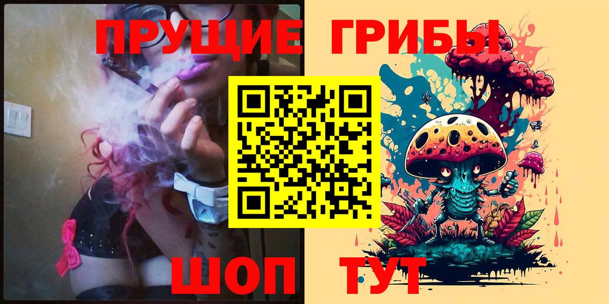 Галлюциногенные грибы прущие грибы  Вход с VPN  Галлюциногенные грибы GOLDEN TEACHER  Курчалой 