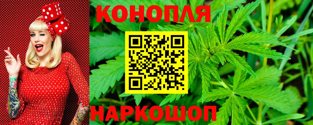 Курчалой  Каннабис марихуана  Вход с VPN  Каннабис VHQ  Бошки марихуана VHQ  Конопля планчик 